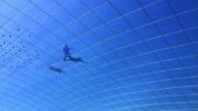 Réseau de câbles et membrane supérieur en ETFE avec les points de drainage d’urgence (vue de l’intérieur de la toiture) (© 3dtex)