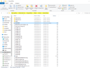 Fichier AUTHORE.INI dans le dossier C:\ProgramData\Dlubal\Global\General Data