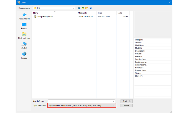 RFEM 5.21 : seul le format *.du8 est pris en charge.