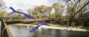 Logiciels de calcul de structure pour la construction de ponts