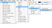 Menu « Insérer »