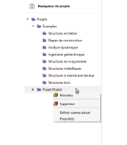 Appel du menu contextuel du projet