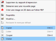 Options du menu contextuel pour la copie ou le clonage