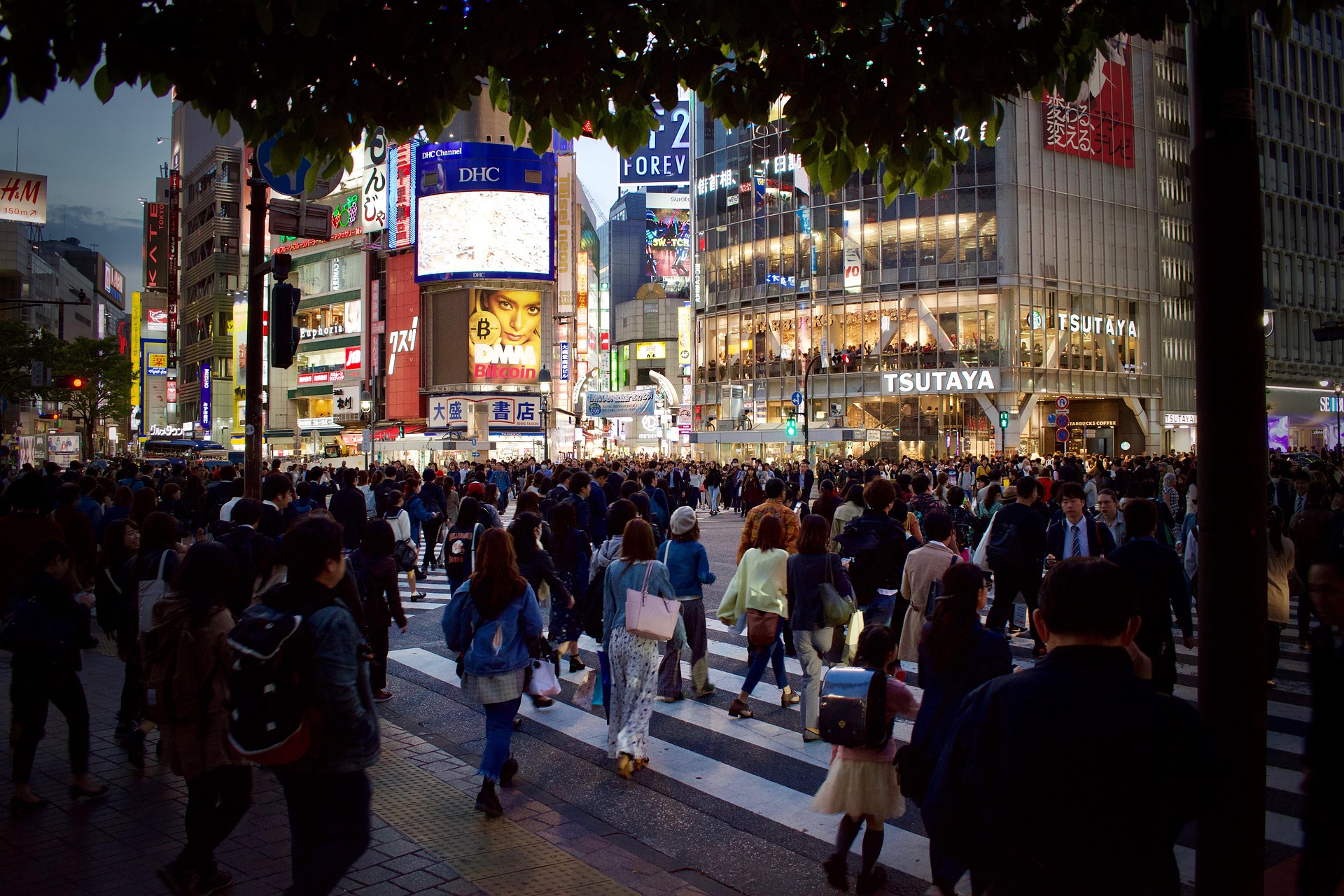 La pénurie de logement dans les grandes villes du Japon favorisent la construction de bâtiments de plus en plus hauts.
