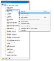 Menu contextuel « Sections »