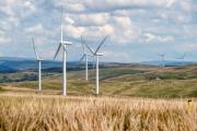 L’énergie éolienne est une alternative durable aux sources d’énergie traditionnelles : malgré quelques inconvénients elle est nettement plus sûre.