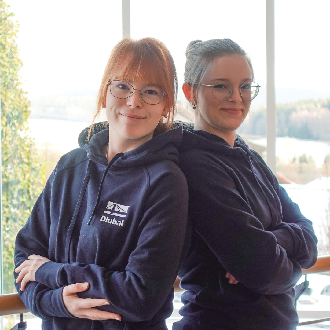 Dlubal employés présentent les nouveaux hoodies