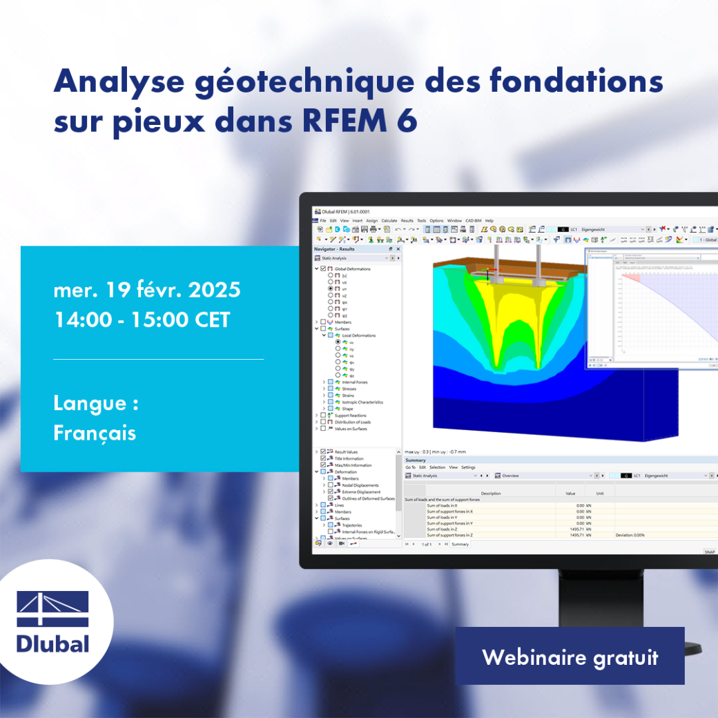 Session d'analyse géotechnique des fondations sur pieux le 19 février 2025 de 14h à 15h CET