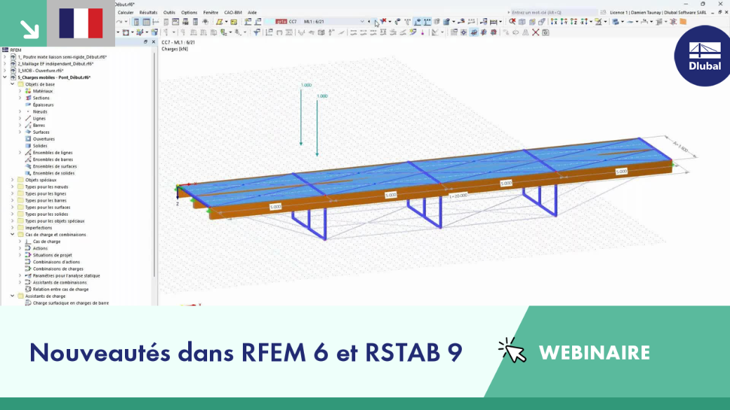 Mise à jour des fonctionnalités des logiciels RFEM 6 et RSTAB 9 présentées dans un webinaire récent.