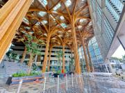 La Sprint Canopy Singapour, conçue par Ergodomus, mesure 27 mètres de haut et couvre 3 000 m², devenant ainsi la toiture en bois massif la plus haute de l’île.
