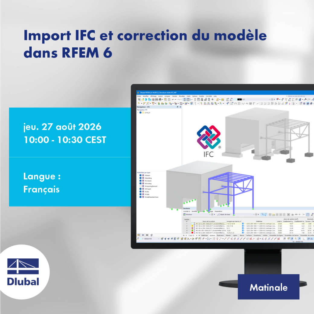 Import IFC et correction du modèle dans RFEM 6