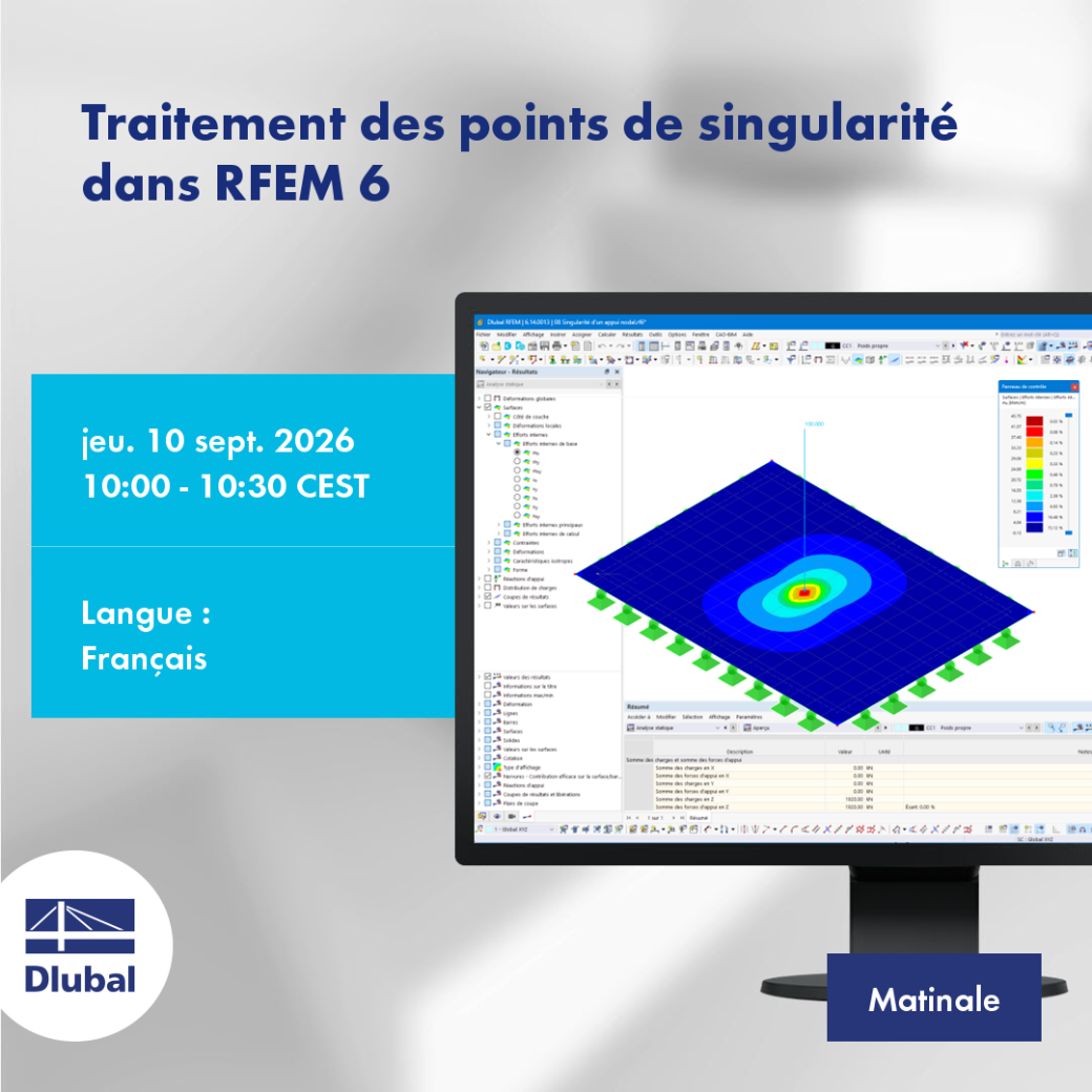 Traitement des points de singularité dans RFEM 6