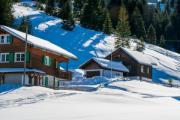 Deux maisons traditionnelles en bois aux volets verts et aux toits enneigés dans un paysage alpin hivernal par temps clair et ensoleillé.