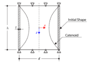 Catenoid