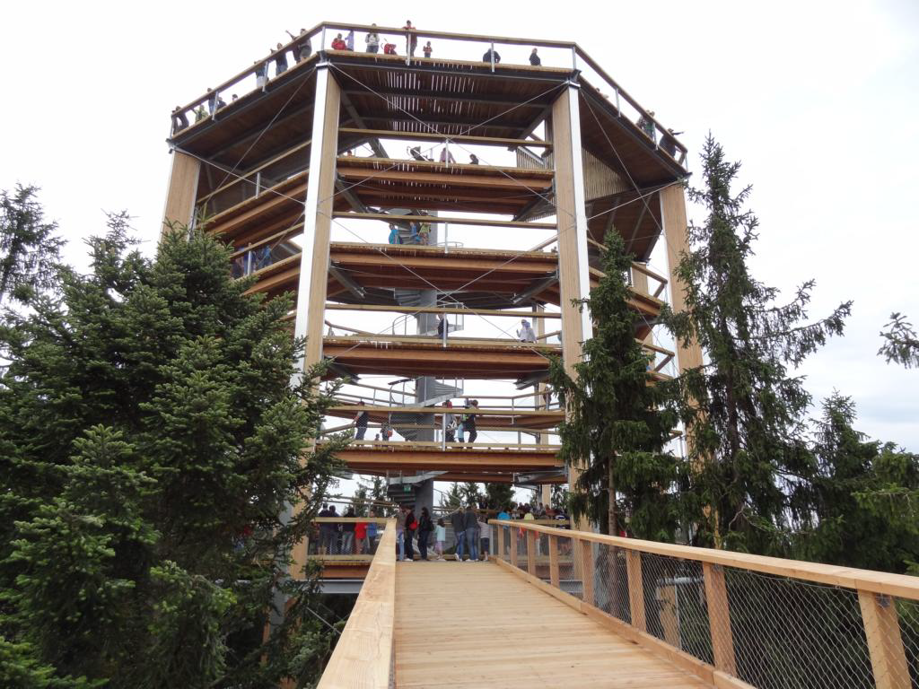 Torre sull'albero con percorso tra gli alberi collegato (© WIEHAG)