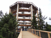 Torre sull'albero con percorso tra gli alberi collegato (© WIEHAG)