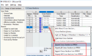 Esportazione della sezione trasversale modificata in RFEM