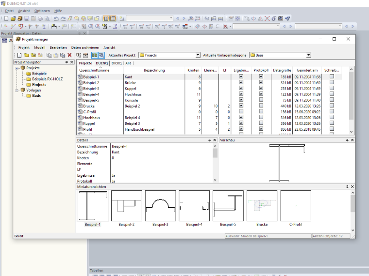 Gestore progetti
