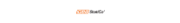 IDEA StatiCa Logo, Opzioni di esportazione per aste e sezioni trasversali da RFEM 6 / RSTAB 9 per la verifica