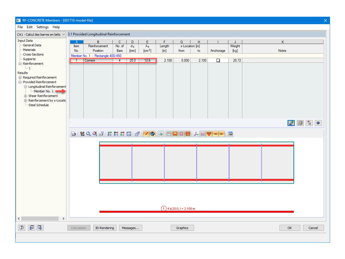 Armatura prevista determinata da RF-CONCRETE Members