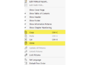 Opzioni del menu contestuale per copiare o clonare