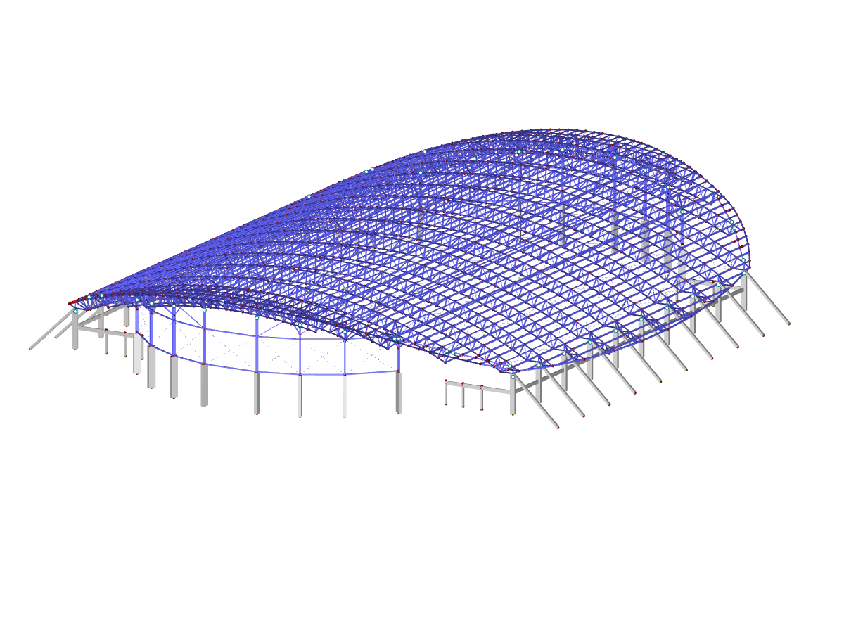 Modello del progetto Velodromo in RFEM (© Metalúrgica Vera SLR)