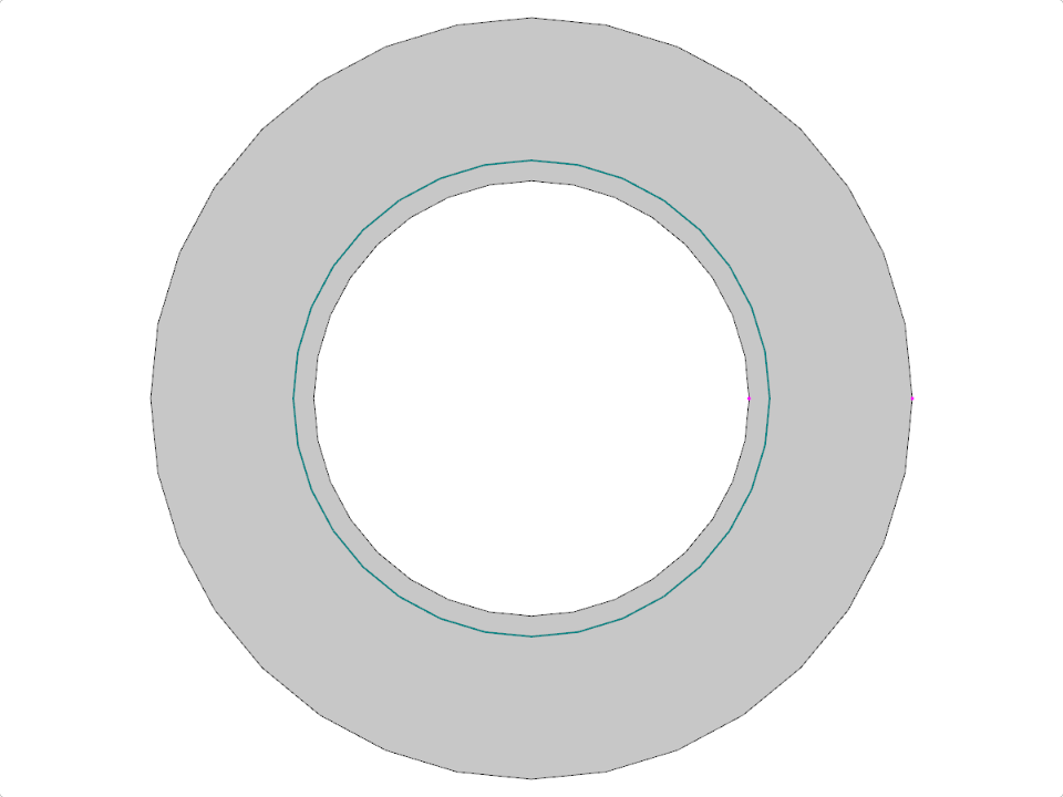 L'immagine mostra una piastra circolare con un'apertura circolare centrale utilizzata nell'analisi strutturale.