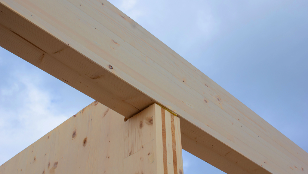 Analisi strutturale e progettazione di strutture laminate e sandwich