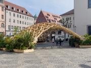 Guscio reticolare in legno "Moritzplatz Demonstrator" ad Augusta, Germania | © Digital Timber Construction DTC, TH di Augusta, Germania
