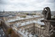 Gargoyle su Notre-Dame a Parigi