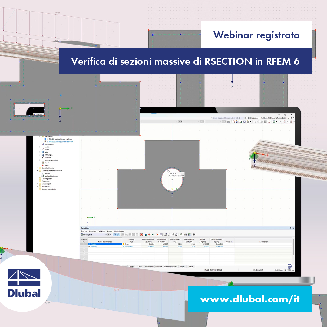 Webinar registrato