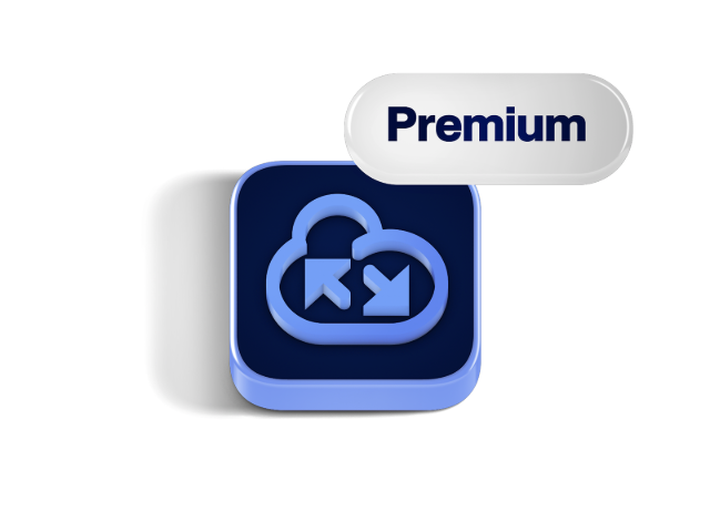 Rappresentazione visiva delle API premium disponibili nel negozio, che mostra le possibilità di integrazione e accesso.