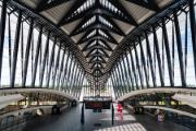 Vista interna della stazione di Lione, Francia, progettata da Calatrava