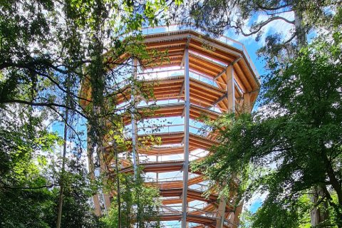 Torre panoramica e passerella tra le cime degli alberi nella foresta di Avondale da WIEHAG GmbH, analisi strutturale fatta in RSTAB.