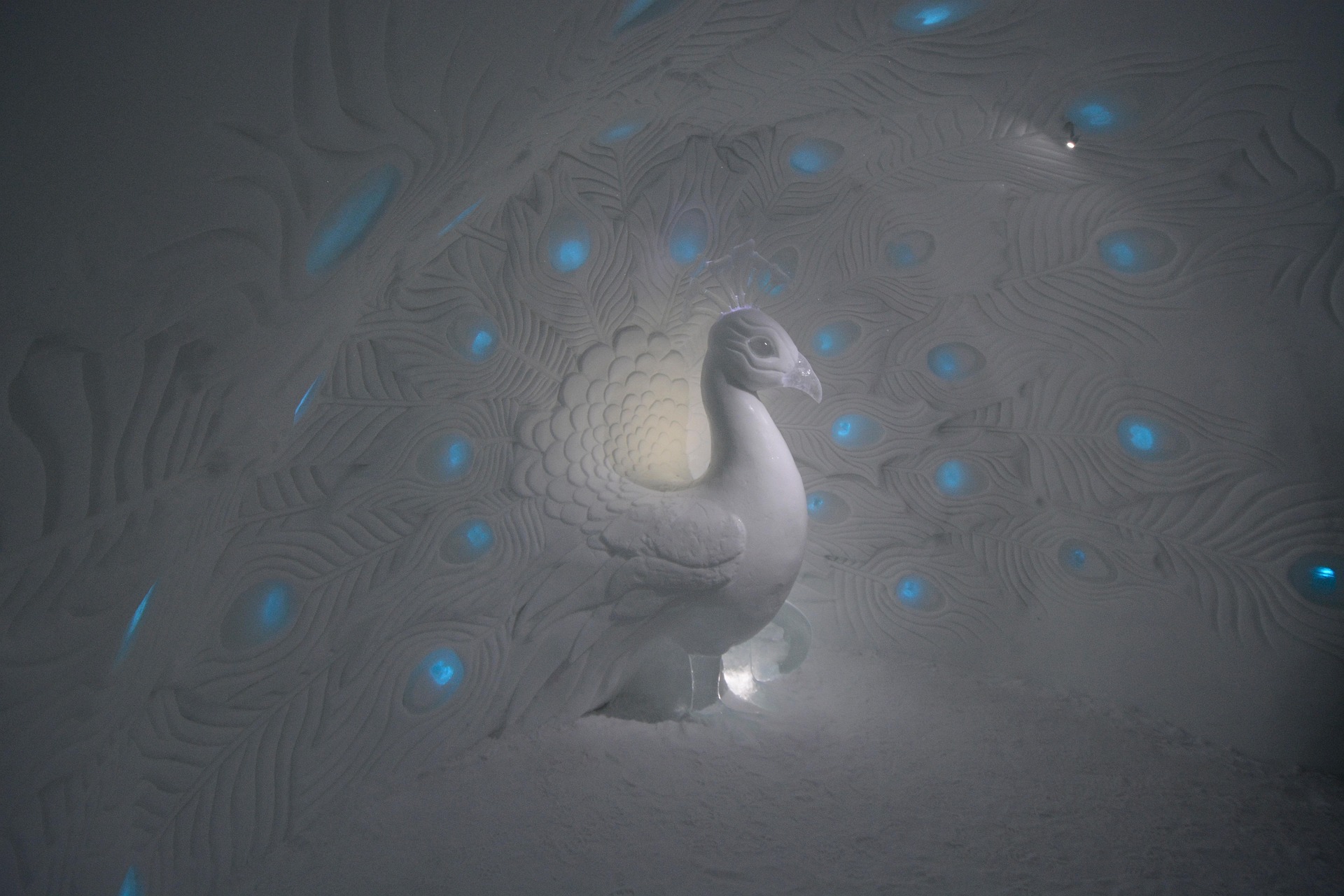 Imponente pavone di ghiaccio in un'artistica camera all'Icehotel in Svezia.