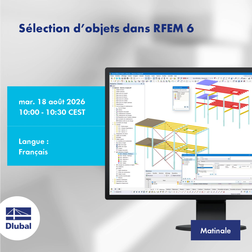 Selezione degli oggetti in RFEM 6