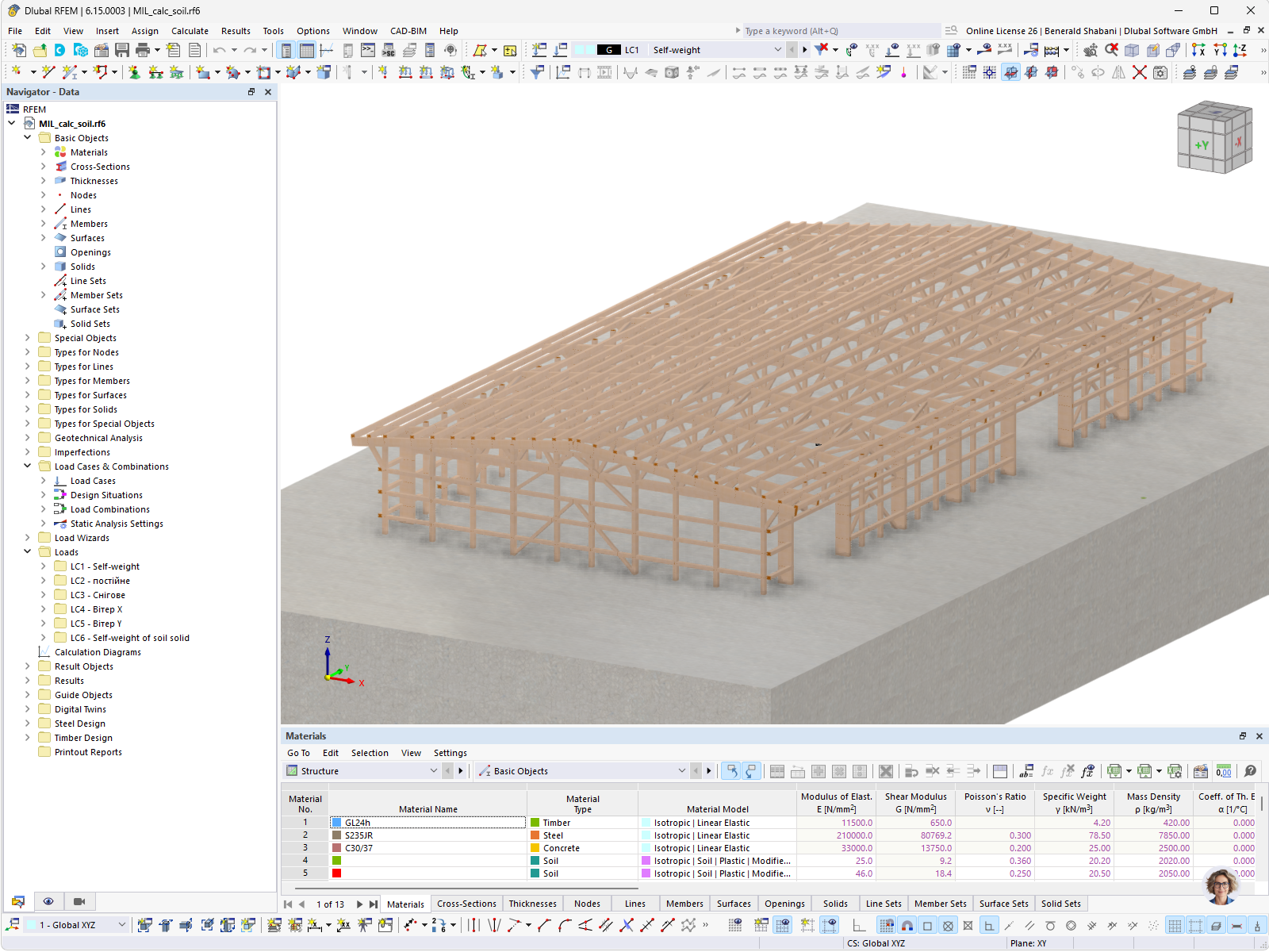 Visualizzazione di una sala in legno lamellare in Ucraina, modellata in RFEM.