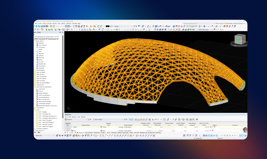 Modello RFEM della copertura a gridshell in legno della Park Arena di Furth im Wald, che mostra una struttura a maglie triangolari con aste e condizioni di supporto.