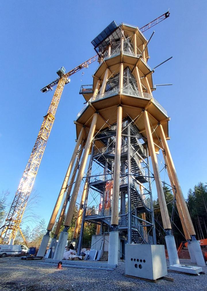 Wieża widokowa w Schömberg w trakcie budowy (© Ingenieurbüro Braun GmbH & Co. KG)