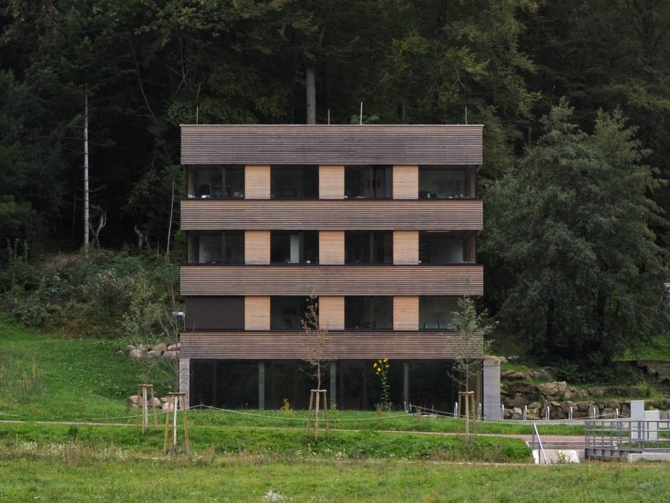 Widok od przodu leśnej wieży we Fryburgu, prosty sześcian z drewna i szkła, zintegrowany z naturą