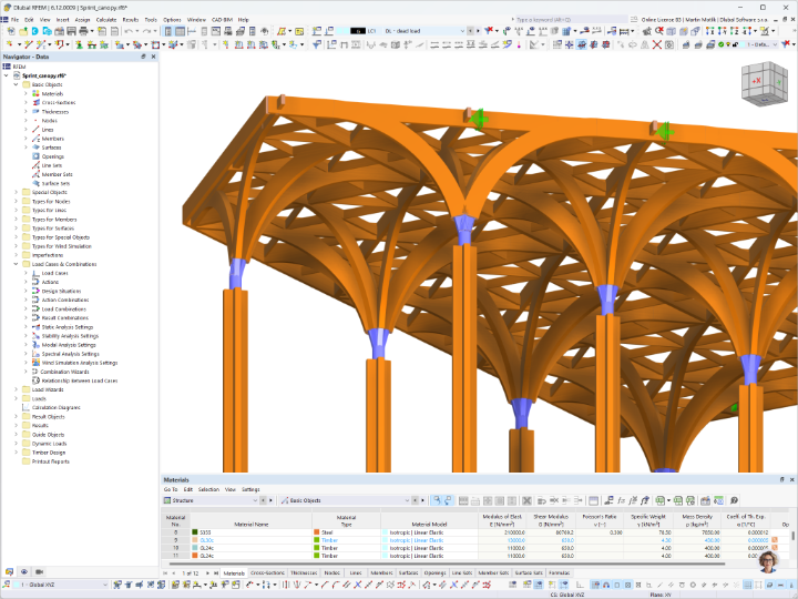 Model RFEM przedstawiający podpory słupów drewnianej konstrukcji dachu opracowany przez firmę Ergodomus dla Canopy Sprint w Singapurze.
