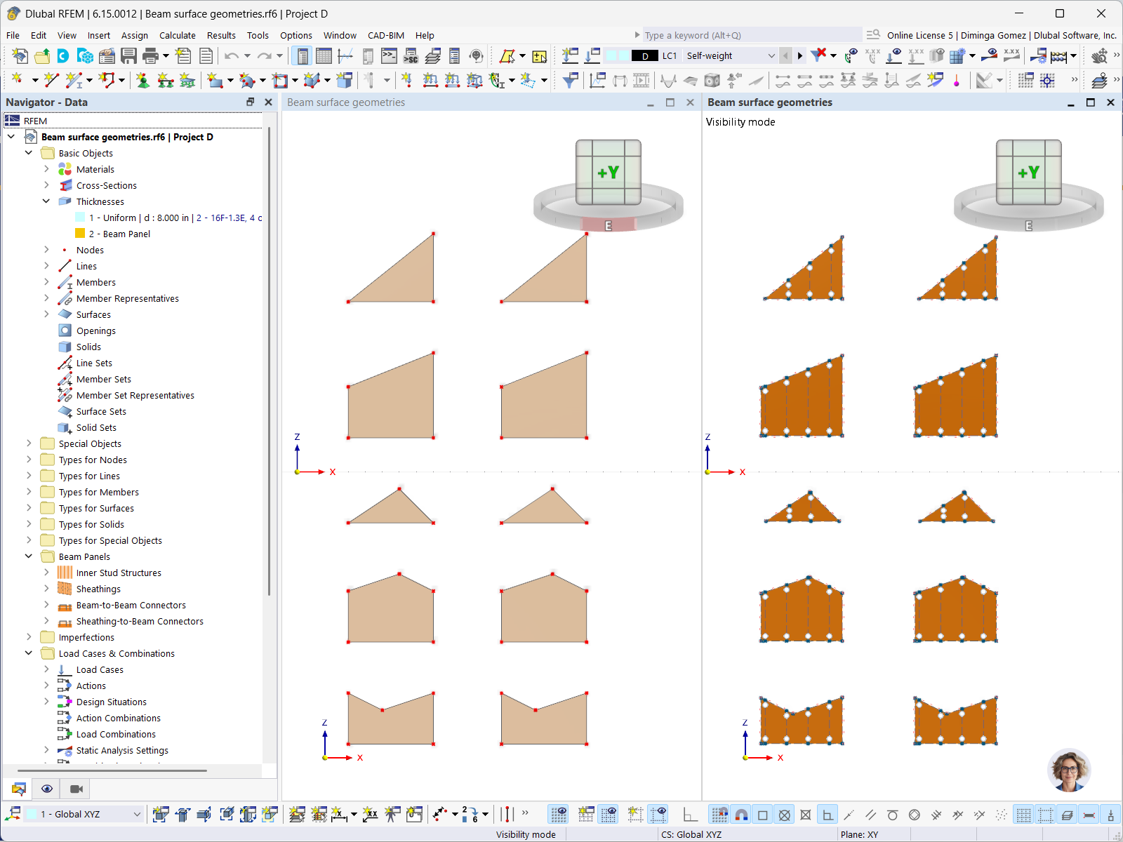Panel szkieletowy w RFEM z geometrią trójkątną, trapezową i pięciokątną jako powierzchnia oraz z automatycznym rozłożeniem na pręty do obliczeń metodą elementów skończonych.