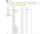 Pode encontrar o ficheiro AUTHORE.INI na pasta C:\ProgramData\Dlubal\Global\General Data