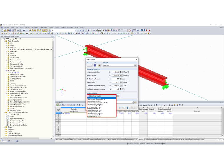 RFEM – Materiais