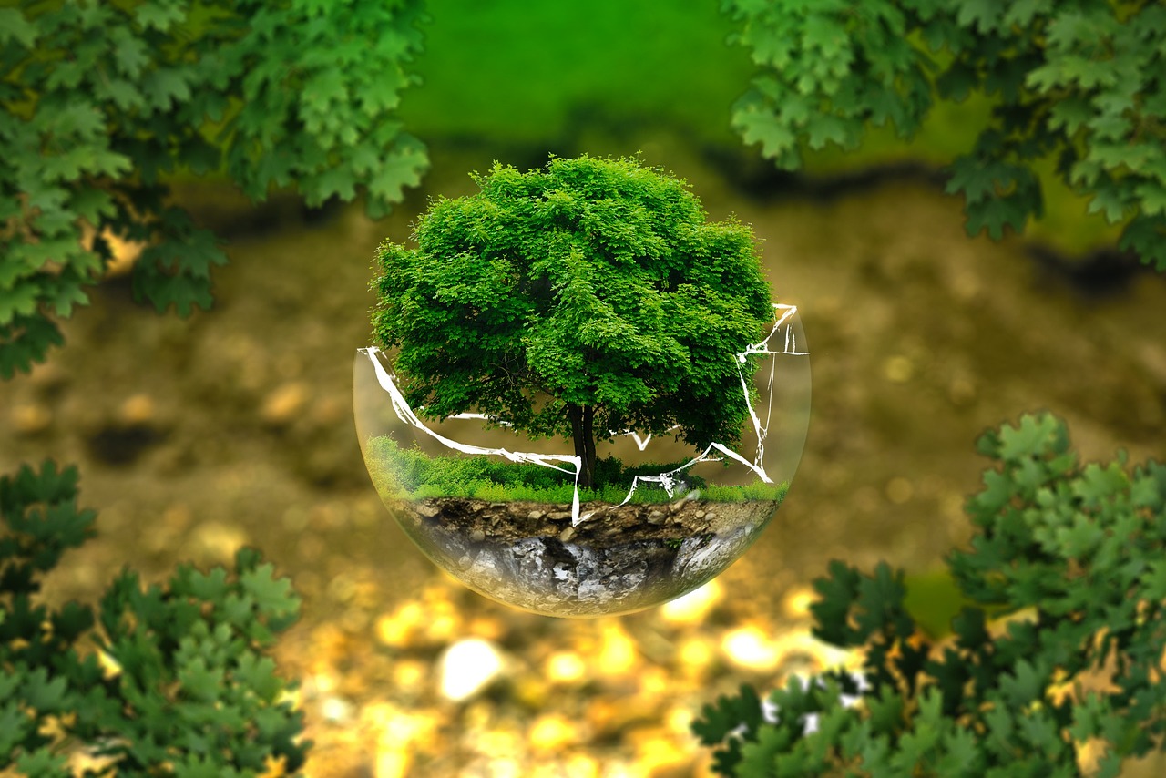 Ecologia e sustentabilidade: A proteção do ambiente também está a tornar-se cada vez mais importante na indústria da construção