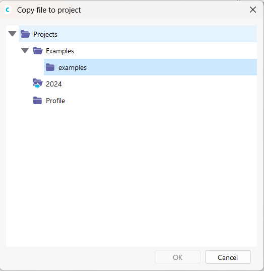 Copiar modelo para projeto