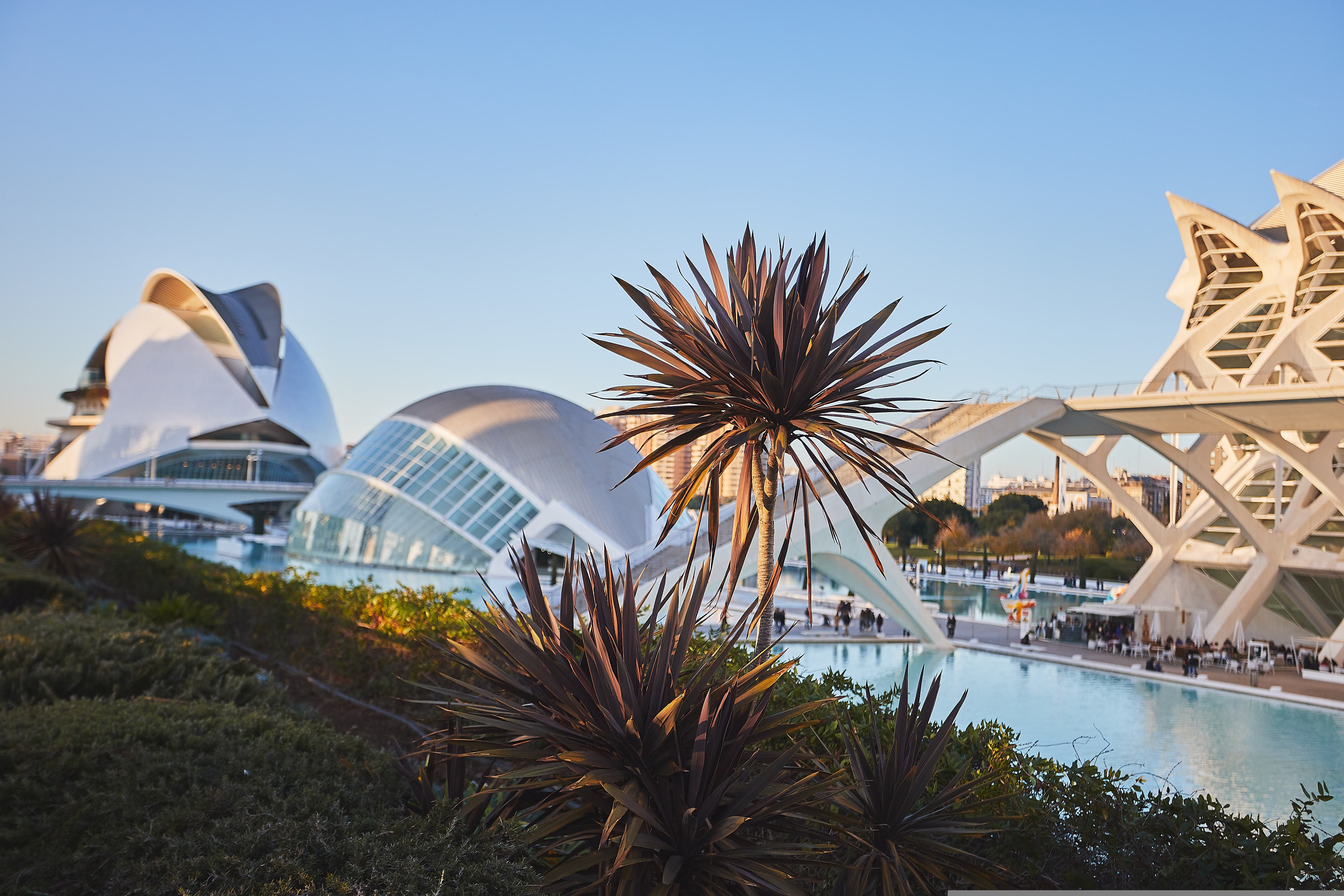 Panorama da Cidade das Ciências e das Artes em Valência, projetada por Santiago Calatrava