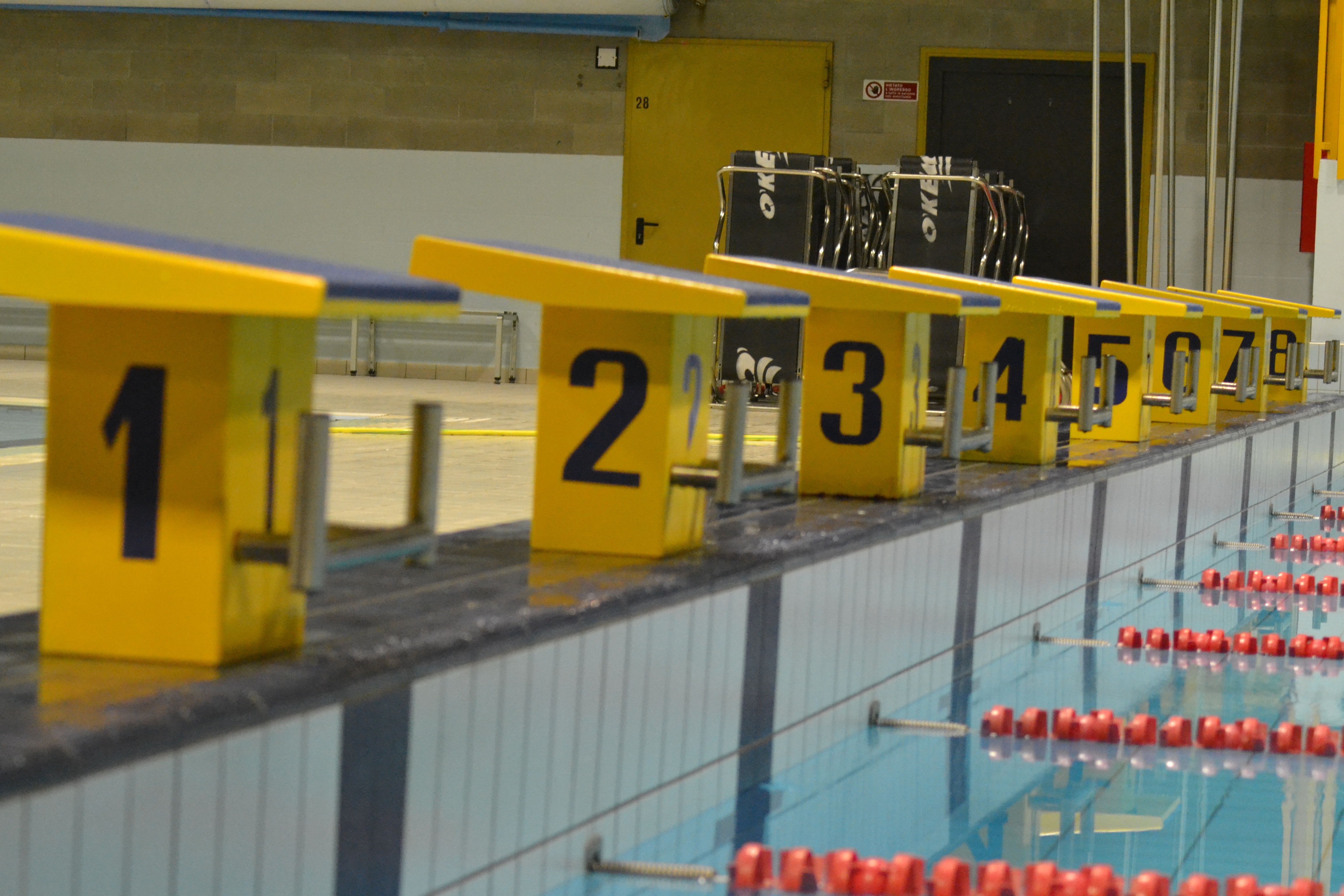 Blocos de partida sobre uma piscina numa competição