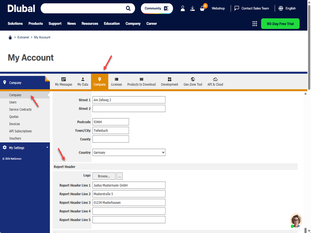 Tela de configuração para adaptação do perfil da empresa e layout na Conta Dlubal.
