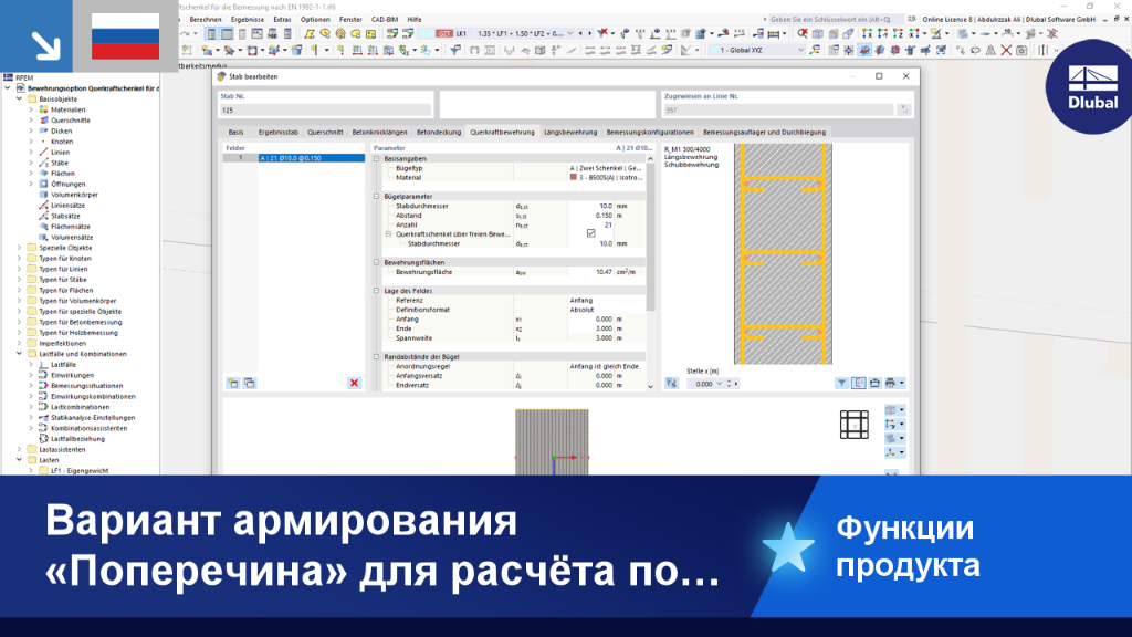 Опция «Ветвь поперечной силы» в инструменте расчёта Dlubal по EN 1992-1-1. Визуализация расчёта армирования с конкретными ветвями.